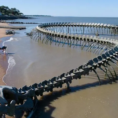 Campeggio Mhstbrevin109